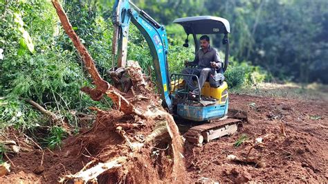 mini tree stump removal